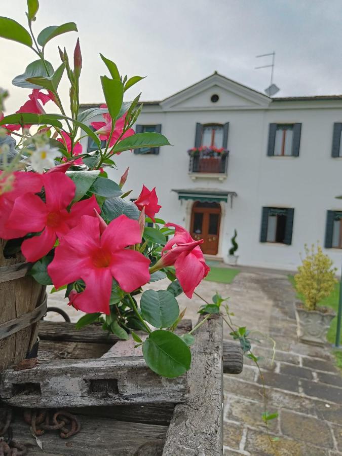 Agriturismo Villa Greggio Casalserugo Exterior photo